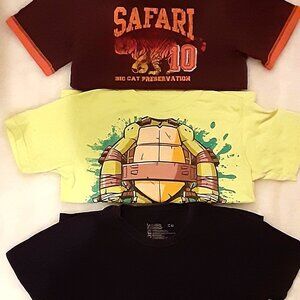 Boys clothes size 5 Carter's brown safari tiger green short sleeve t shirt lot